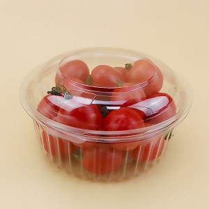 Plastic disposable transparent fresh fruit storage packing container fruit box