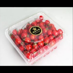 Fruit box with lid 200*170*95 mm HGF-750H