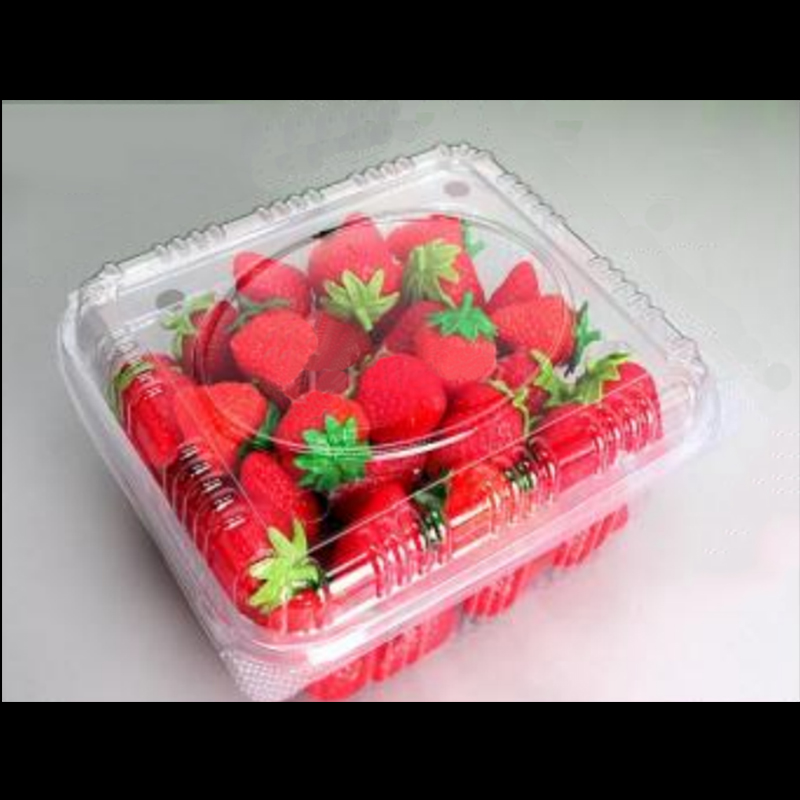 Fruit box with lid 195*170*90 mm HGF-750B