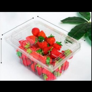 Fruit box with lid 210*155*100 mm HGF-950A
